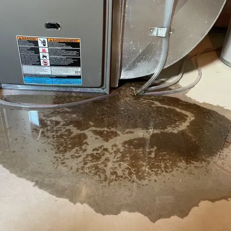 Appliance Leak Cleanup in Taft, FL